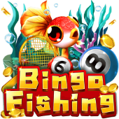 Câu Cá Bingo fly68